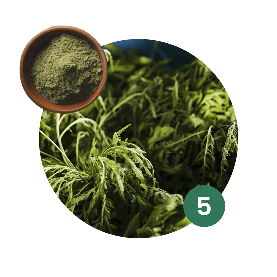 5