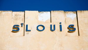 Buy Kratom in St. Louis, Missouri