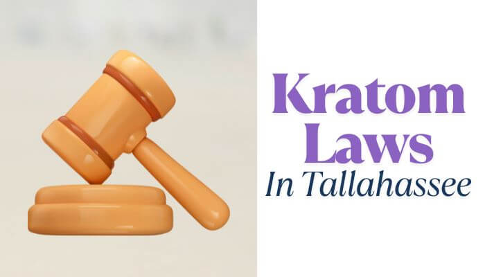 Kratom Laws In Tallahassee, Florida