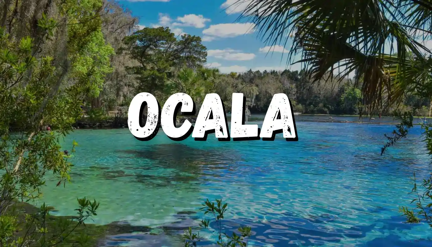 Kratom in Ocala