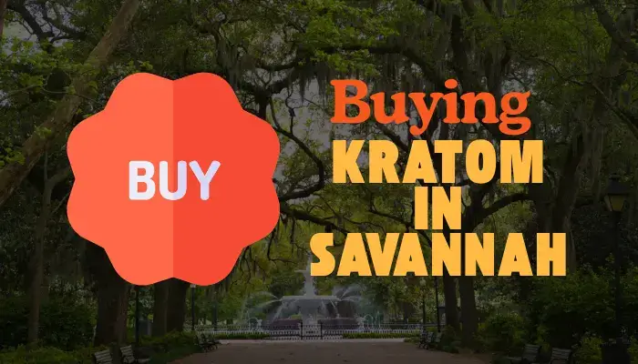 Best Places To Buy Kratom In Savannah In 2025 7 kratom legality in savannah, georgia