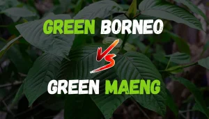 Green Borneo vs Green Maeng Da