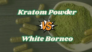 kratom powder vs capsules