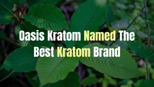 Best Kratom Brand