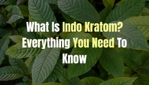 indo kratom