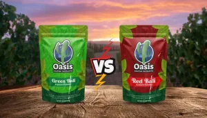 Green Bali vs Red Bali Kratom
