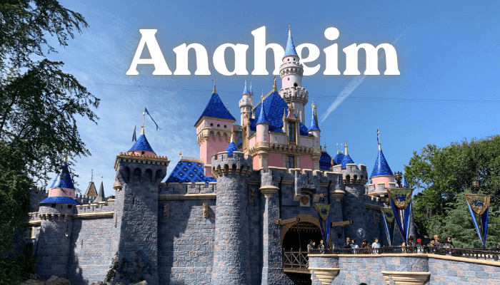 Featured Image Best Shops To Buy Kratom In Anaheim California